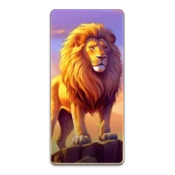 Lion
Safari